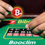 Sign Up At A Reputable Bitcoin Casino Site And Succeed In Your Professional Gambling Activities